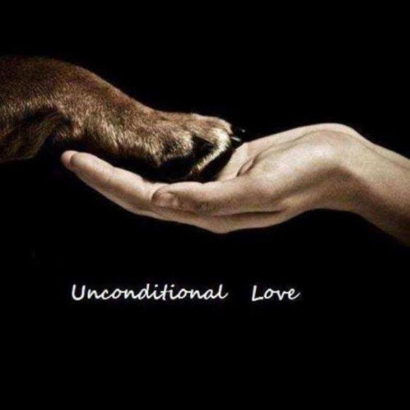 Meet your Posher, Kelly - Picture 1 of 1